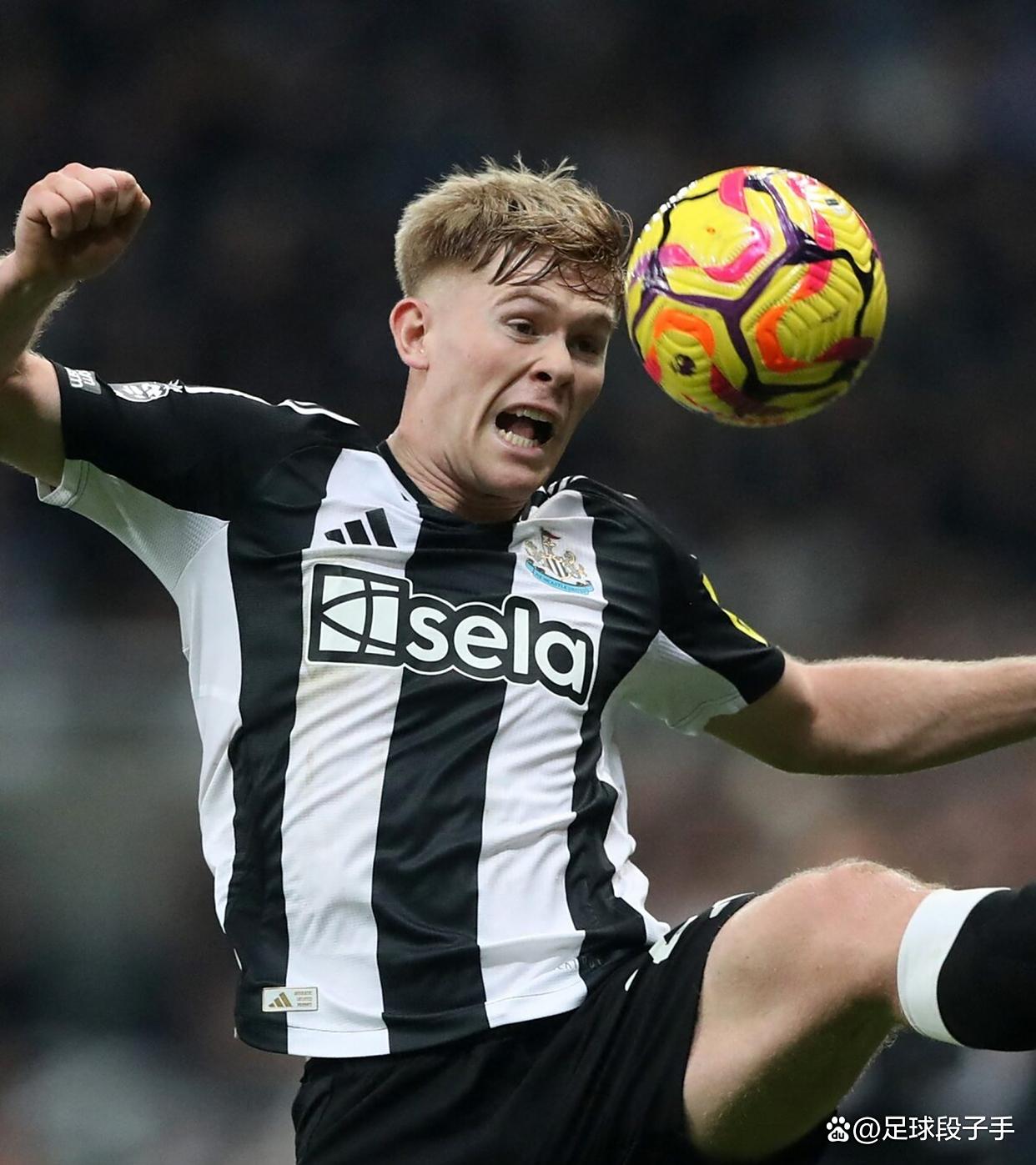 关于奥兰多魔术加时末段门线救险纽卡斯尔伤情更新备战全明星赛，网友：清晨纽约尼克斯备战NBA总决赛的信息